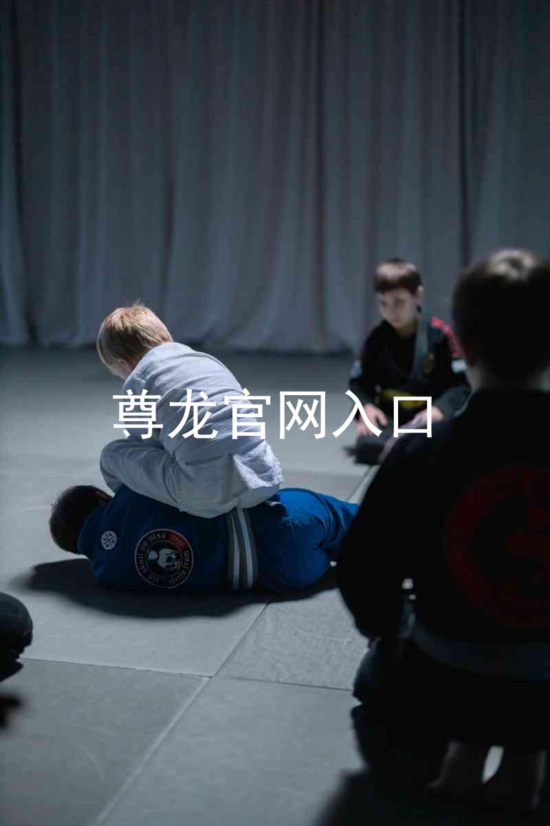 尊龙官网入口